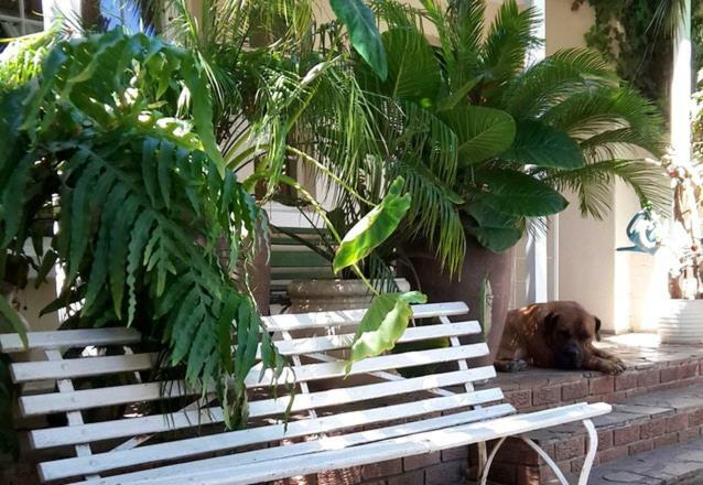 Mavilla Stellenbosch B&B Екстер'єр фото